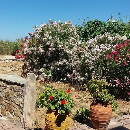 公寓 维拉达纳伊酒店 Agia Anna (Naxos)